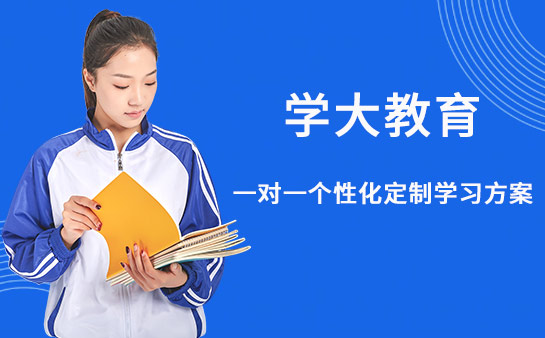 学大教育一对一