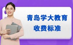 更新 2024学大教育收费标准-青岛地区解析